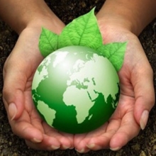 Going green