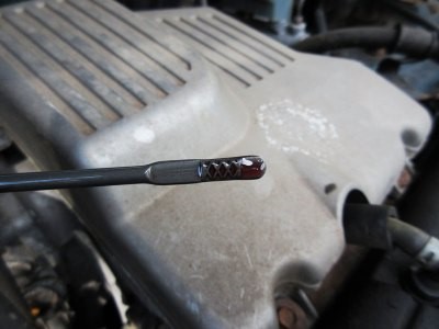 HOW TO CHECK GEAR OIL